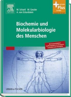 Biochemie und Molekularbiologie des Menschen - Schartl, Manfred / Gessler, Manfred / Eckardstein, Arnold von (Hrsg.)