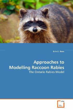 Approaches to Modelling Raccoon Rabies