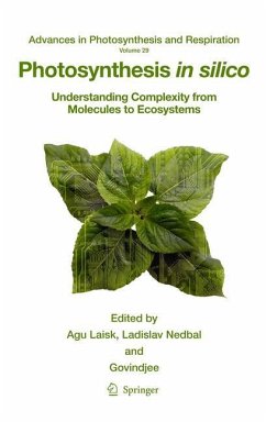 Photosynthesis in silico - Laisk, Agu / Nedbal, Ladislav / Govindjee (ed.)