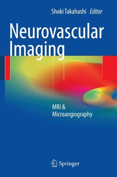 Neurovascular Imaging - Takahashi, Shoki (Hrsg.)