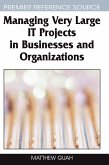 Managing Very Large IT Projects in Businesses and Organizations