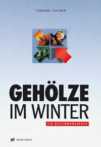 Gehölze im Winter