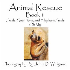 Animal Rescue, Book 1, Seals, Sea Lions And Elephant Seals, Oh My! - Dyan, Penelope