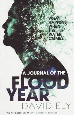 A Journal of the Flood Year - Ely, David