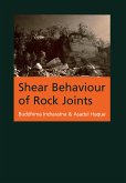 Shear Behaviour of Rock Joints (Pbk) (REV)