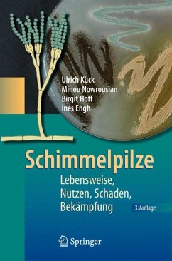 Schimmelpilze - Kück, Ulrich;Nowrousian, Minou;Hoff, Birgit