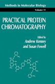 Practical Protein Chromatography