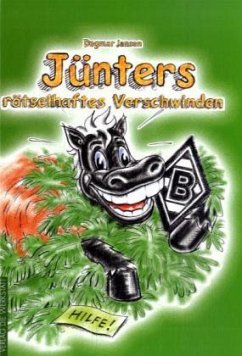 Cover Jünters rätselhaftes Verschwinden