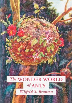 The Wonder World of Ants - Bronson, Wilfrid S.