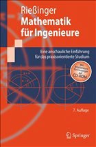 Mathematik für Ingenieure - Rießinger, Thomas