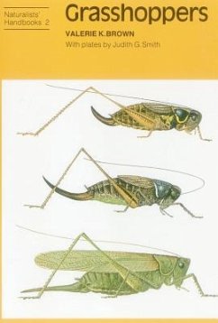 Grasshoppers - Brown, Valerie K.
