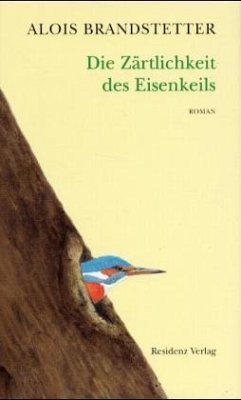 Die Zärtlichkeit des Eisenkeils - Brandstetter, Alois