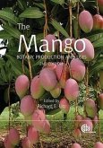 The Mango