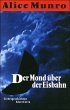 Der Mond über der Eisbahn - Bild 1