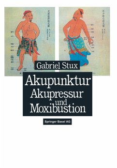 Akupunktur, Akupressur und Moxibustion - Stux, Gabriel