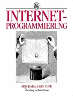 Internet-Programmierung unter Windows, m. Diskette (3 1/2 Zoll)