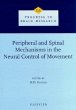 Peripheral and Spinal Mechanisms in the... - Bild 1