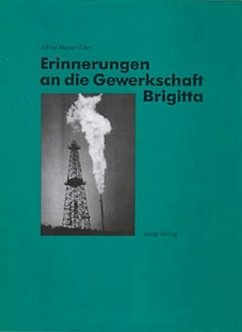 Erinnerungen an die Gewerkschaft Brigitta - Mayer-Gürr, Alfred