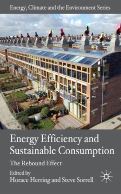 Energy Efficiency and Sustainable Consumption