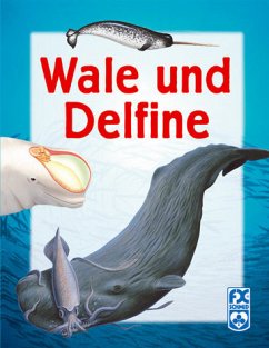 Wale und Delfine: So leben die Meeressäugetiere !