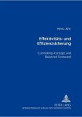 Effektivitäts- und Effizienzsicherung