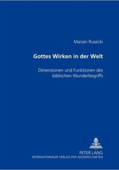 Gottes Wirken in der Welt - Rusecki, Marian