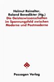 Die Geisteswissenschaften im Spannungsfeld zwischen Moderne und Postmoderne