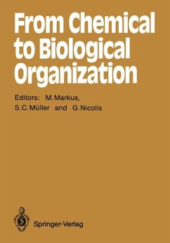 From Chemical to Biological Organization - Markus, Mario, Stefan C. Müller und Gregoire Nicolis