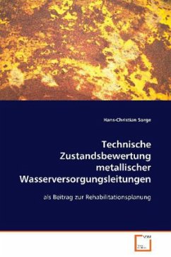 Technische Zustandsbewertung metallischerWasserversorgungsleitungen - Sorge, Hans-Christian