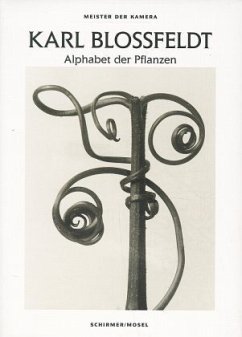 Alphabet der Pflanzen - Blossfeldt, Karl