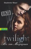 Bis(s) zum Morgengrauen / Twilight-Serie Bd.1 (Das Buch zum Film)