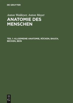 Allgemeine Anatomie, Rücken, Bauch, Becken, Bein - Waldeyer, Anton;Mayet, Anton