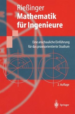 Mathematik für Ingenieure Eine anschauliche Einführung für das praxisorientierte Studium - Rießinger, Thomas