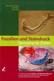 Fossilien und Steindruck: Versteinerte Zeiten