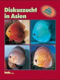 Diskuszucht in Asien