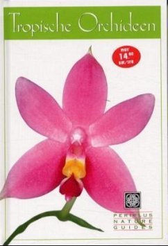Tropische Orchideen