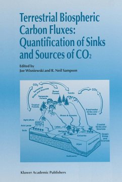 Terrestrial Biospheric Carbon Fluxes: