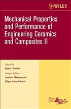 Mechanical Properties and Performance of Engineering Ceramics II, Ceramic Engineering and Science Proceedings, Cocoa Beach - Wereszczak, Andrew / Lara-Curzio, Edgar / Tandon, Rajan (eds.)