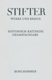 Studien / Werke und Briefe 1,3