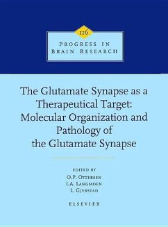 The Glutamate Synapse as a Therapeutic Target - Ottersen, O.P. / Langmoen, I.A. / Gjerstad, L. (eds.)
