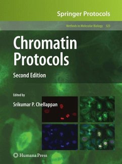 Chromatin Protocols - Chellappan, Srikumar P. (ed.)