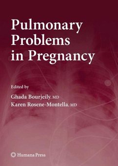 Pulmonary Problems in Pregnancy - Bourjeily, Ghada / Rosene-Montella, Karen (ed.)
