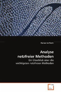 Analyse netzfreier Methoden - Seifferth, Florian