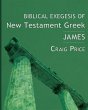 Biblical Exegesis of New Testament Greek - Bild 1