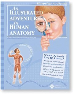 An Illustrated Adventure in Human Anatomy - Anatomical Chart Company