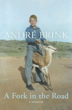 A Fork In The Road - Brink, André