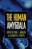 The Human Amygdala