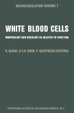 White Blood Cells: Morphology and Rheology as Related to Function