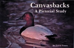 Canvasbacks: A Pictorial Study - Veasey, Tricia