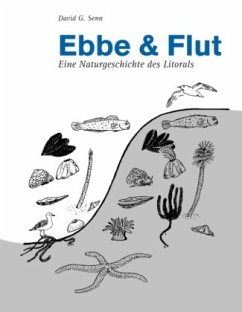 Ebbe und Flut - Senn, David G.